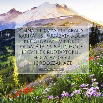 Picture 07 - 2 Mózes 30:4 KAR - Csinálj hozzá két arany karikát is, - Bible Verse Picture