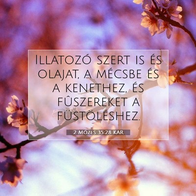 Picture 07 - 2 Mózes 35:28 KAR - Illatozó szert is és olajat, a mécsbe és a - Bible Verse Picture