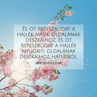 Picture 07 - 2 Mózes 36:31 KAR - És öt reteszrúdat a hajlék másik oldalának - Bible Verse Picture
