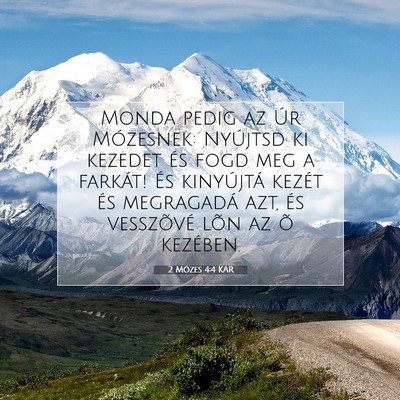 Picture 07 - 2 Mózes 4:4 KAR - Monda pedig az Úr Mózesnek: Nyújtsd ki kezedet - Bible Verse Picture