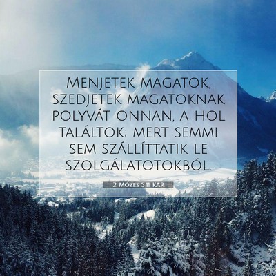 Picture 07 - 2 Mózes 5:11 KAR - Menjetek magatok, szedjetek magatoknak polyvát - Bible Verse Picture
