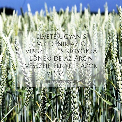 Picture 07 - 2 Mózes 7:12 KAR - Elveté ugyanis mindenik az õ vesszejét és - Bible Verse Picture