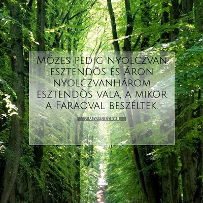 Picture 07 - 2 Mózes 7:7 KAR - Mózes pedig nyolczvan esztendõs és Áron - Bible Verse Picture