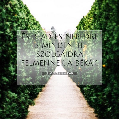 Picture 07 - 2 Mózes 8:4 KAR - És reád és népedre s minden te szolgáidra - Bible Verse Picture