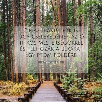 Picture 07 - 2 Mózes 8:7 KAR - De az írástudók is úgy cselekedének az õ - Bible Verse Picture