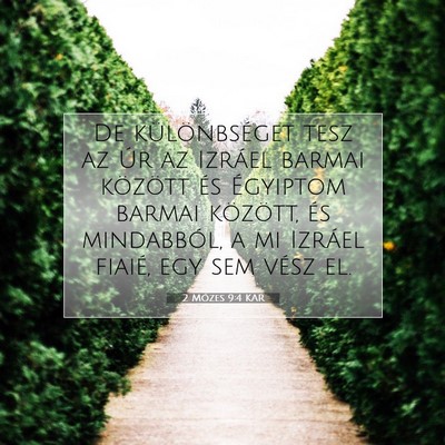 Picture 07 - 2 Mózes 9:4 KAR - De különbséget tesz az Úr az Izráel barmai - Bible Verse Picture