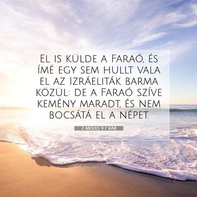 Picture 07 - 2 Mózes 9:7 KAR - El is külde a Faraó, és ímé egy sem hullt - Bible Verse Picture