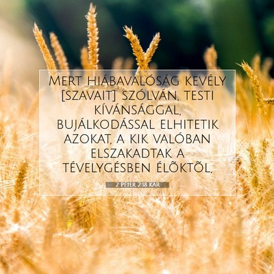 Picture 07 - 2 Péter 2:18 KAR - Mert hiábavalóság kevély [szavait] szólván, - Bible Verse Picture