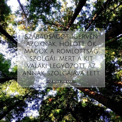 Picture 07 - 2 Péter 2:19 KAR - Szabadságot ígérvén azoknak, holott õk magok - Bible Verse Picture