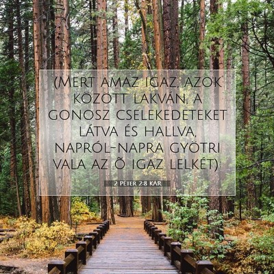 Picture 07 - 2 Péter 2:8 KAR - (Mert amaz igaz, azok között lakván, a gonosz - Bible Verse Picture