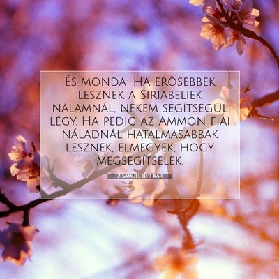 Picture 07 - 2 Sámuel 10:11 KAR - És monda: Ha erõsebbek lesznek a Siriabeliek - Bible Verse Picture