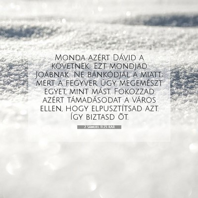 Picture 07 - 2 Sámuel 11:25 KAR - Monda azért Dávid a követnek: Ezt mondjad - Bible Verse Picture