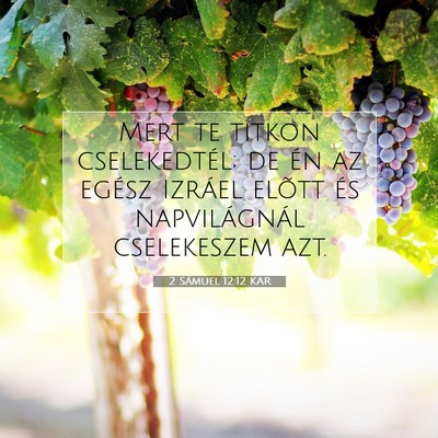 Picture 07 - 2 Sámuel 12:12 KAR - Mert te titkon cselekedtél; de én az egész - Bible Verse Picture