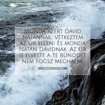 Picture 07 - 2 Sámuel 12:13 KAR - Monda azért Dávid Nátánnak: Vétkeztem az Úr - Bible Verse Picture