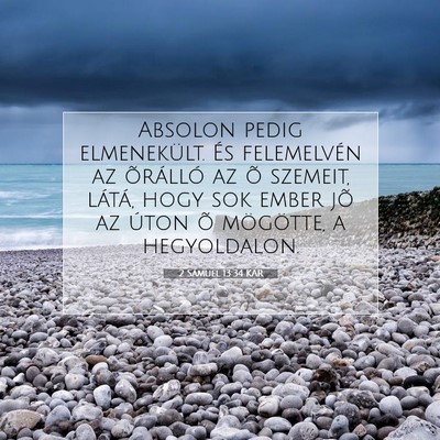 Picture 07 - 2 Sámuel 13:34 KAR - Absolon pedig elmenekült. És felemelvén az - Bible Verse Picture