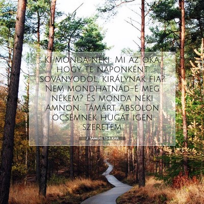 Picture 07 - 2 Sámuel 13:4 KAR - Ki monda néki: Mi az oka, hogy te naponként - Bible Verse Picture