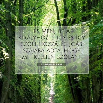 Picture 07 - 2 Sámuel 14:3 KAR - És menj be a királyhoz, s így és így szólj - Bible Verse Picture