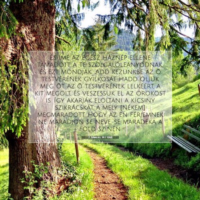 Picture 07 - 2 Sámuel 14:7 KAR - És ímé az egész háznép ellene támadott a - Bible Verse Picture