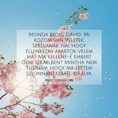 Picture 07 - 2 Sámuel 19:22 KAR - Monda pedig Dávid: Mi közöm van veletek, - Bible Verse Picture