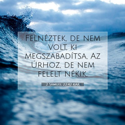 Picture 07 - 2 Sámuel 22:42 KAR - Felnéztek, de nem volt, ki megszabadítsa, Az - Bible Verse Picture