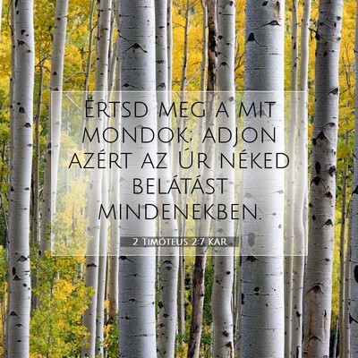 Picture 07 - 2 Timóteus 2:7 KAR - Értsd meg a mit mondok; adjon azért az Úr - Bible Verse Picture