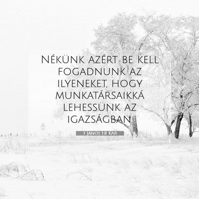 Picture 07 - 3 János 1:8 KAR - Nékünk azért be kell fogadnunk az ilyeneket, - Bible Verse Picture