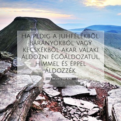Picture 07 - 3 Mózes 1:10 KAR - Ha pedig a juhfélékbõl: bárányokból vagy - Bible Verse Picture