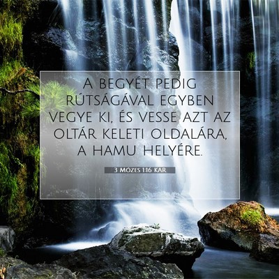 Picture 07 - 3 Mózes 1:16 KAR - A begyét pedig rútságával egyben vegye ki, - Bible Verse Picture