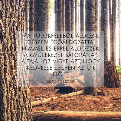 Picture 07 - 3 Mózes 1:3 KAR - Ha tulokfélébõl áldozik egészen - Bible Verse Picture