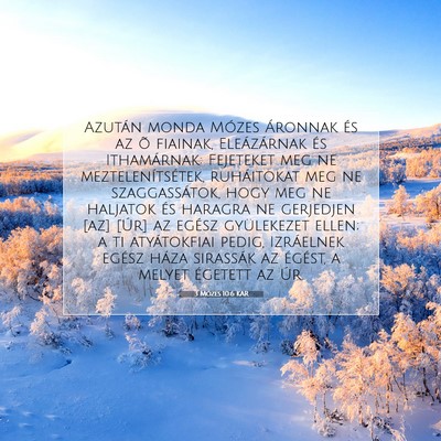 Picture 07 - 3 Mózes 10:6 KAR - Azután monda Mózes Áronnak és az õ fiainak, - Bible Verse Picture