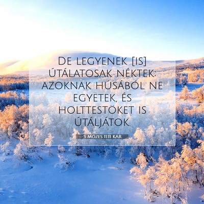 Picture 07 - 3 Mózes 11:11 KAR - De legyenek [is] útálatosak néktek; azoknak - Bible Verse Picture