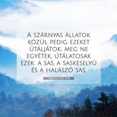 Picture 07 - 3 Mózes 11:13 KAR - A szárnyas állatok közül pedig ezeket - Bible Verse Picture