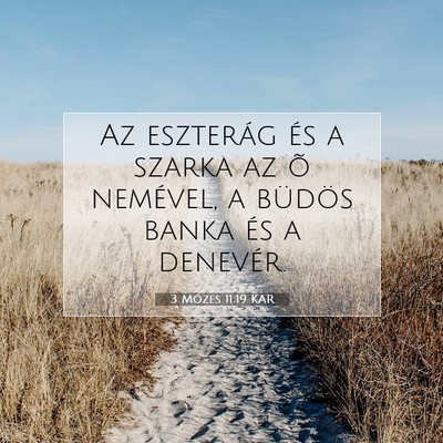 Picture 07 - 3 Mózes 11:19 KAR - Az eszterág és a szarka az õ nemével, a - Bible Verse Picture