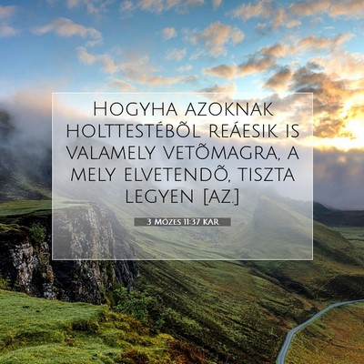 Picture 07 - 3 Mózes 11:37 KAR - Hogyha azoknak holttestébõl reáesik is - Bible Verse Picture