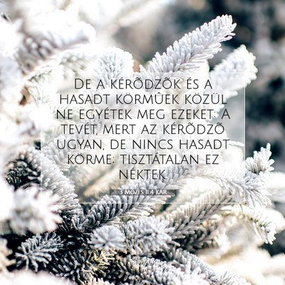 Picture 07 - 3 Mózes 11:4 KAR - De a kérõdzõk és a hasadt körmûek közül - Bible Verse Picture