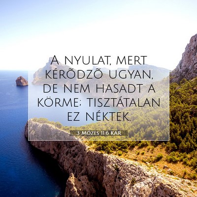 Picture 07 - 3 Mózes 11:6 KAR - A nyulat, mert kérõdzõ ugyan, de nem hasadt a - Bible Verse Picture