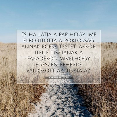 Picture 07 - 3 Mózes 13:13 KAR - És ha látja a pap, hogy ímé elborította a - Bible Verse Picture