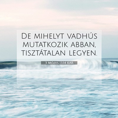 Picture 07 - 3 Mózes 13:14 KAR - De mihelyt vadhús mutatkozik abban, tisztátalan - Bible Verse Picture