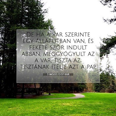 Picture 07 - 3 Mózes 13:37 KAR - De ha a var szerinte egy állapotban van, és - Bible Verse Picture