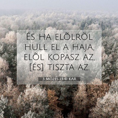 Picture 07 - 3 Mózes 13:41 KAR - És ha elõlrõl hull el a haja, elõl kopasz az, - Bible Verse Picture