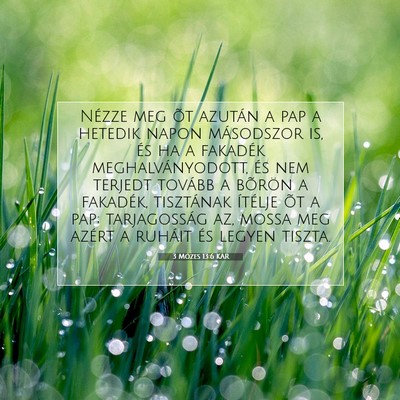Picture 07 - 3 Mózes 13:6 KAR - Nézze meg õt azután a pap a hetedik napon - Bible Verse Picture