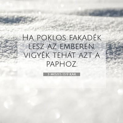 Picture 07 - 3 Mózes 13:9 KAR - Ha poklos fakadék lesz az emberen, vigyék - Bible Verse Picture