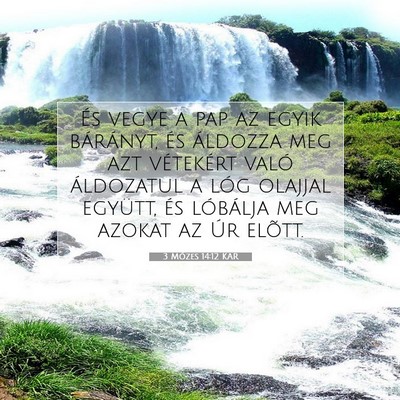 Picture 07 - 3 Mózes 14:12 KAR - És vegye a pap az egyik bárányt, és áldozza - Bible Verse Picture