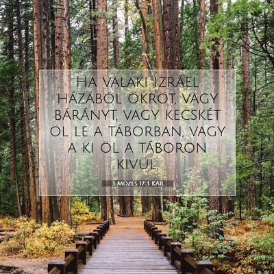 Picture 07 - 3 Mózes 17:3 KAR - Ha valaki Izráel házából ökröt, vagy - Bible Verse Picture