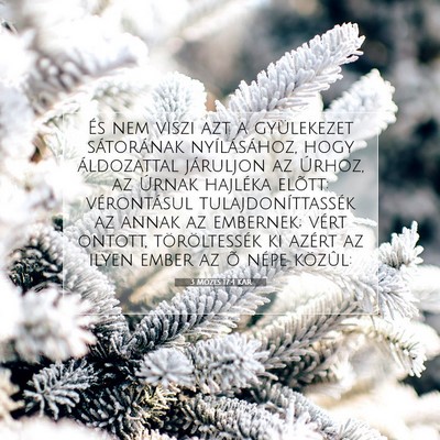 Picture 07 - 3 Mózes 17:4 KAR - És nem viszi azt a gyülekezet sátorának - Bible Verse Picture