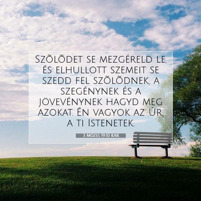 Picture 07 - 3 Mózes 19:10 KAR - Szõlõdet se mezgéreld le, és elhullott - Bible Verse Picture