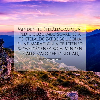 Picture 07 - 3 Mózes 2:13 KAR - Minden te ételáldozatodat pedig sózd meg - Bible Verse Picture
