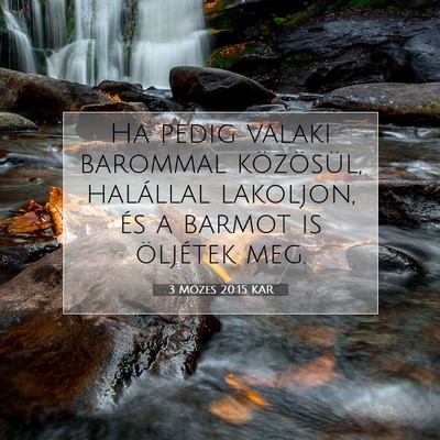 Picture 07 - 3 Mózes 20:15 KAR - Ha pedig valaki barommal közösül, halállal - Bible Verse Picture