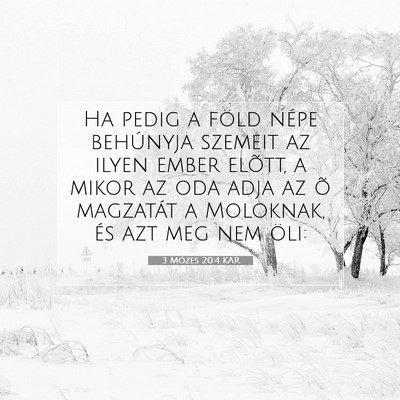 Picture 07 - 3 Mózes 20:4 KAR - Ha pedig a föld népe behúnyja szemeit az ilyen - Bible Verse Picture