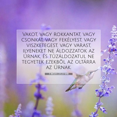 Picture 07 - 3 Mózes 22:22 KAR - Vakot, vagy rokkantat, vagy csonkát, vagy - Bible Verse Picture